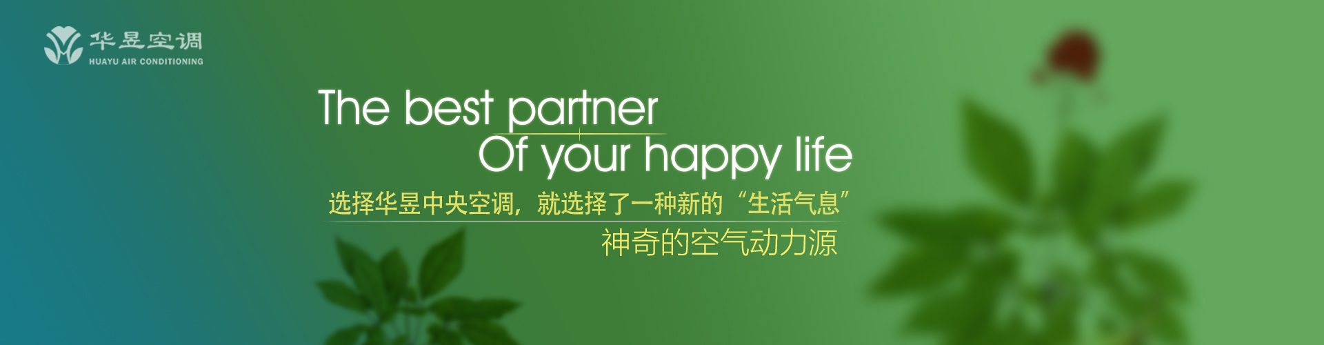 暴殄天物网